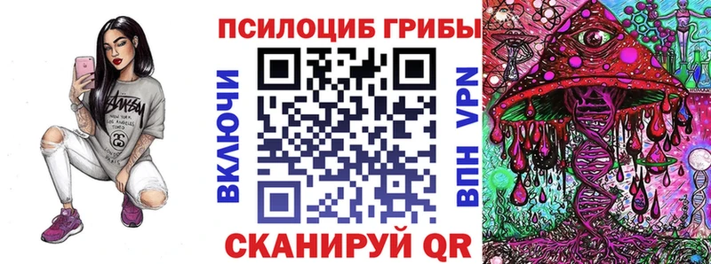 Галлюциногенные грибы Psilocybe  Купить где  Ельня 